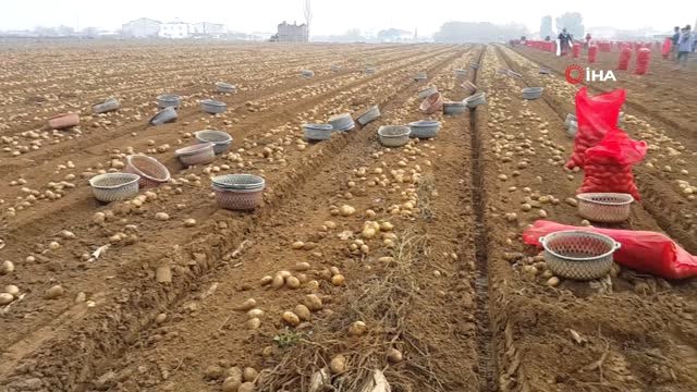 Tarlada 1 Lira 50 Kuruş Olan Patates Markette 4 Lira