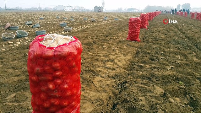 Tarlada 1 lira 50 kuruş olan patates markette 4 lira