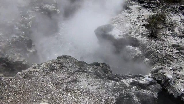 Wahka Thermal. Rotorua, NZ, Dec 2018