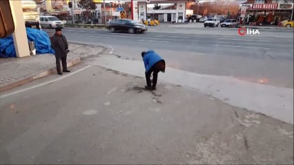 Yavru köpek ezilmesin diye servis aracını durdurdu