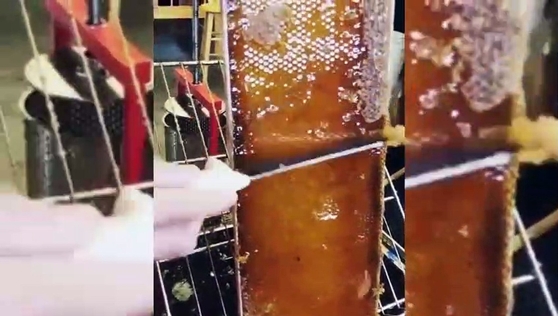 ⁣Honeycomb Uncapping ASMR-Oddly Satisfying ASMR Video
