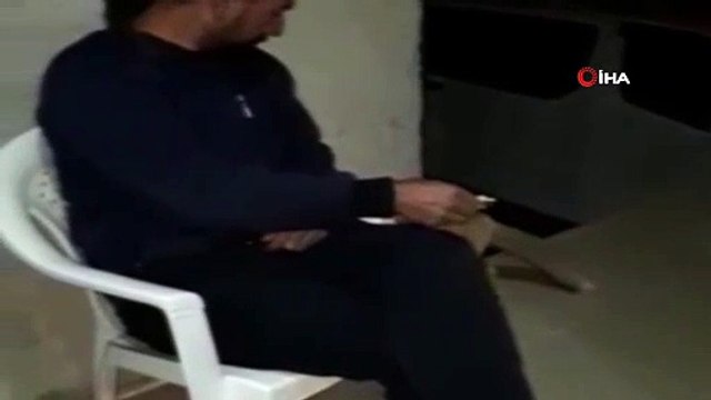 Aç tilki şehre indi.. Vatandaş, evine gelen tilkiyi eliyle besledi