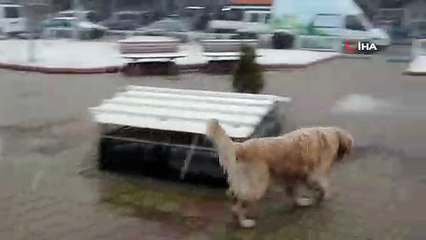 Dursunbey'de Kar Yağışı Başladı