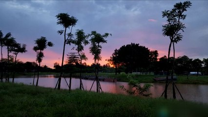 태국 골프장에서 한국인 관광객 2명 강물에 빠져 실종 / YTN
