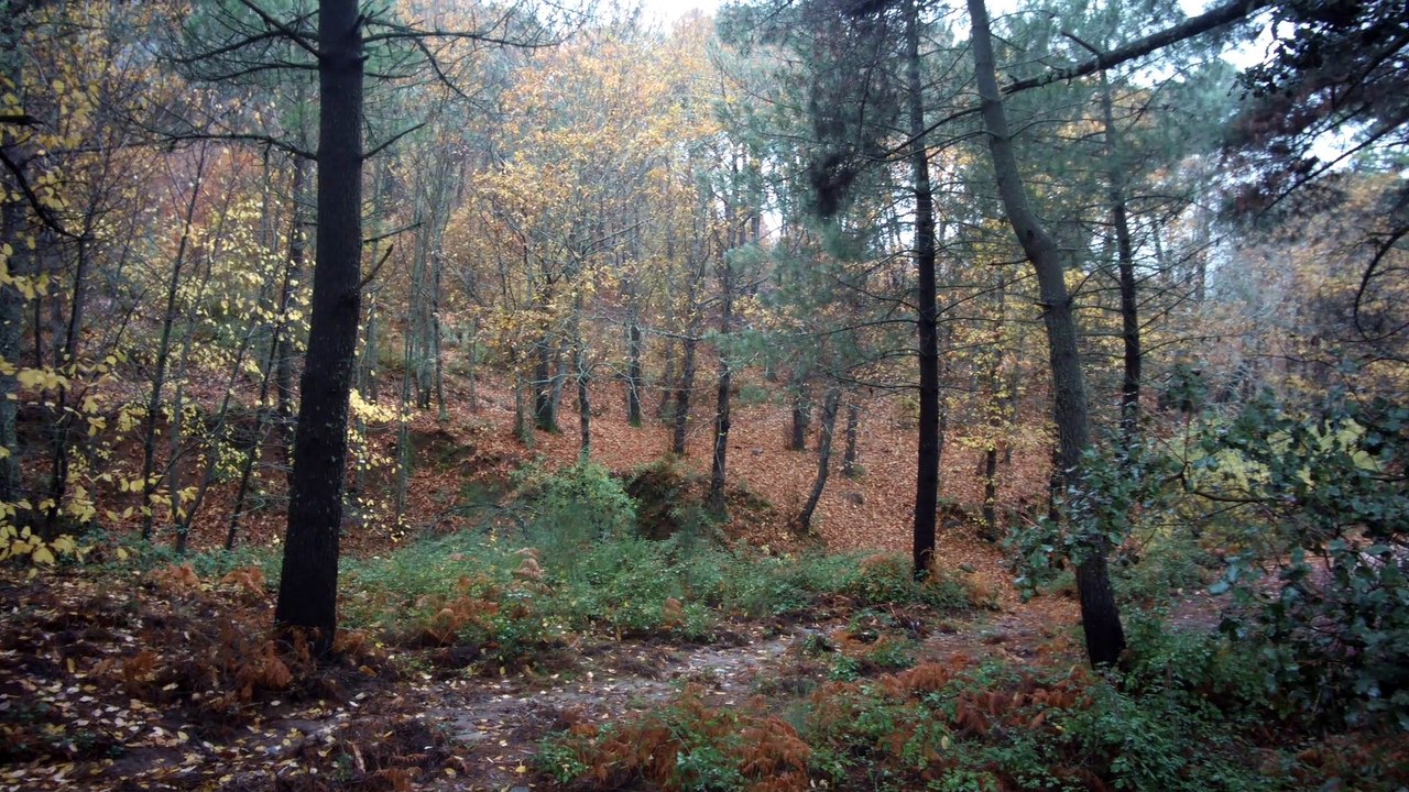 Cruz de Juanar (Sierra Blanca, Marbella)