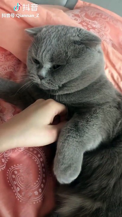 Don't touch my hand!