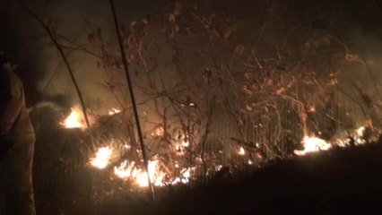 서울 망우동고개 인근 야산 불...25분 만에 진화 / YTN