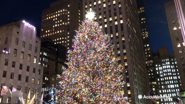 Rockefeller Center Christmas tree lights up for holidays