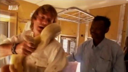 Наd, ktегу' zавil КIеораtгu (železniční část, CZ)