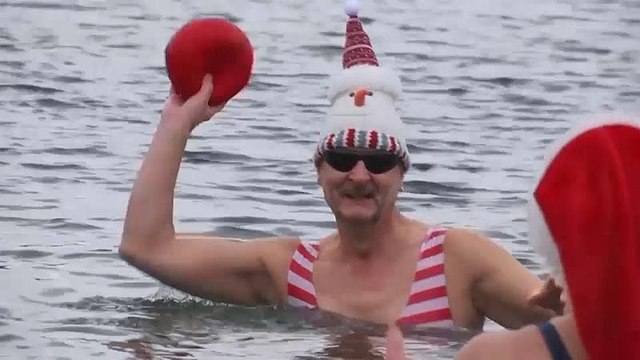 Берлинским тюленям холод нипочём