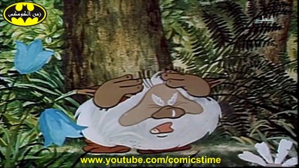 الصدى_- كارتون روسي قديم