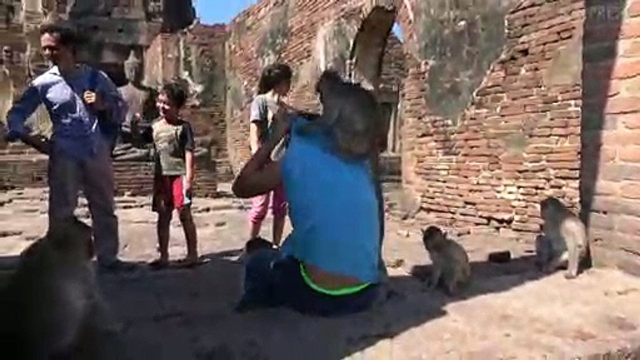 Monkeys Jump On Children At Thai Temple!