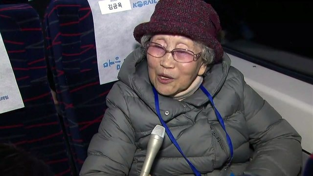 그리운 고향 개성, 몇 년만에 갑니다 / YTN