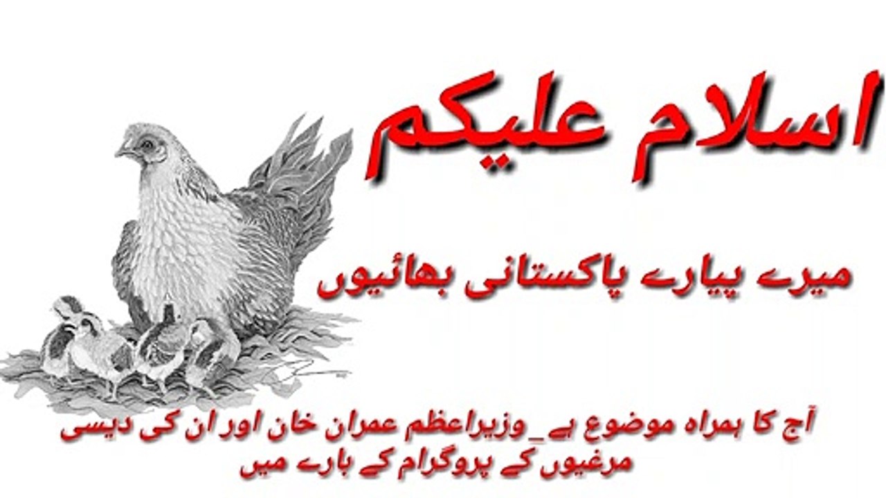 PM Imran Khan Aggs Proggram