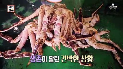 [선공개] 나는 아직 배고프다! 연 매출 25억 원의 '킹'이 된 남자!