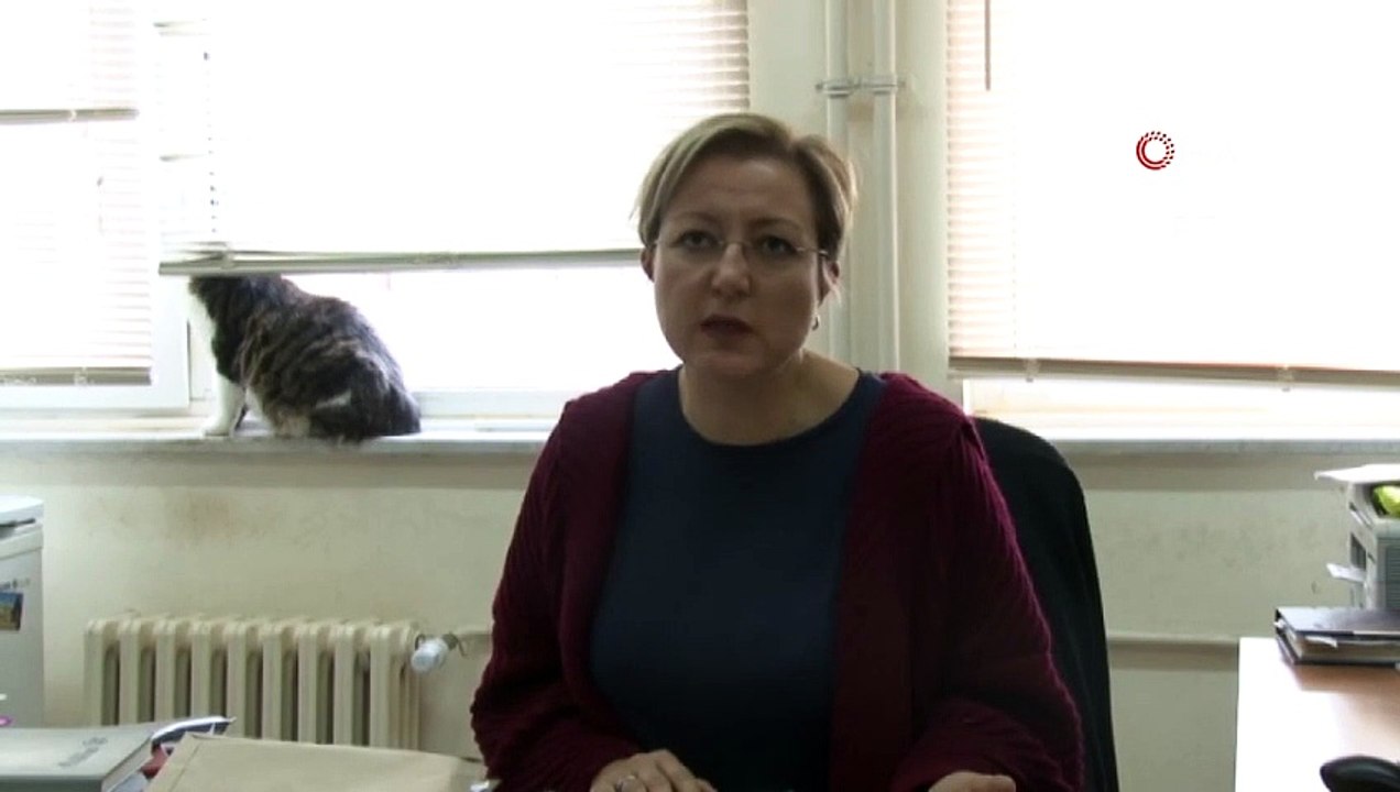 8 Kiloluk Kedinin Anıtını Dikecekler