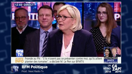 Clashs et coups d'éclat : l'année des Le Pen à la télévision