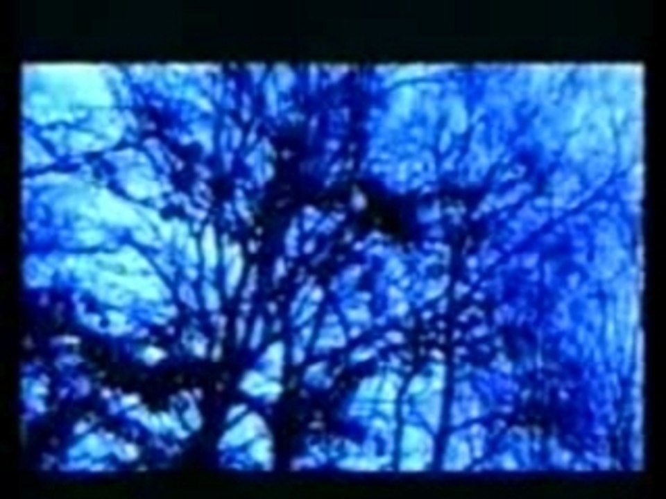 Dragana Mirkovic - Placi zemljo