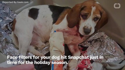 Snapchat Shows Off Dog Lenses In Time For Christmas