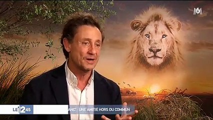L'incroyable histoire du film "Mia et le lion blanc" où une jeune actrice a développé un lien indéfinissable avec le lion - Regardez