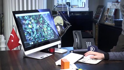 Fikret Orman, AA'nın 'Yılın Fotoğrafları' oylamasına katıldı - İSTANBUL