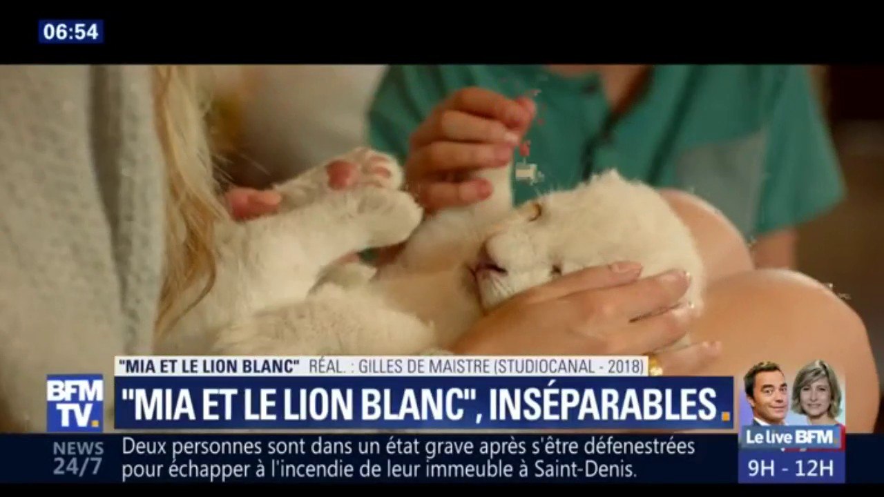 "Mia et le lion blanc", ou l'amitié entre une petite fille et un lionceau