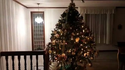 보령출장마사지 { 카톡mas6699 } [Ø7Ø⇔5180⇔1620]【20대에이스】보령출장안마 보령출장안마 출장안마코스 보령출장안마 보령출장마사지-황제 보령출장마사지- 보령콜걸.