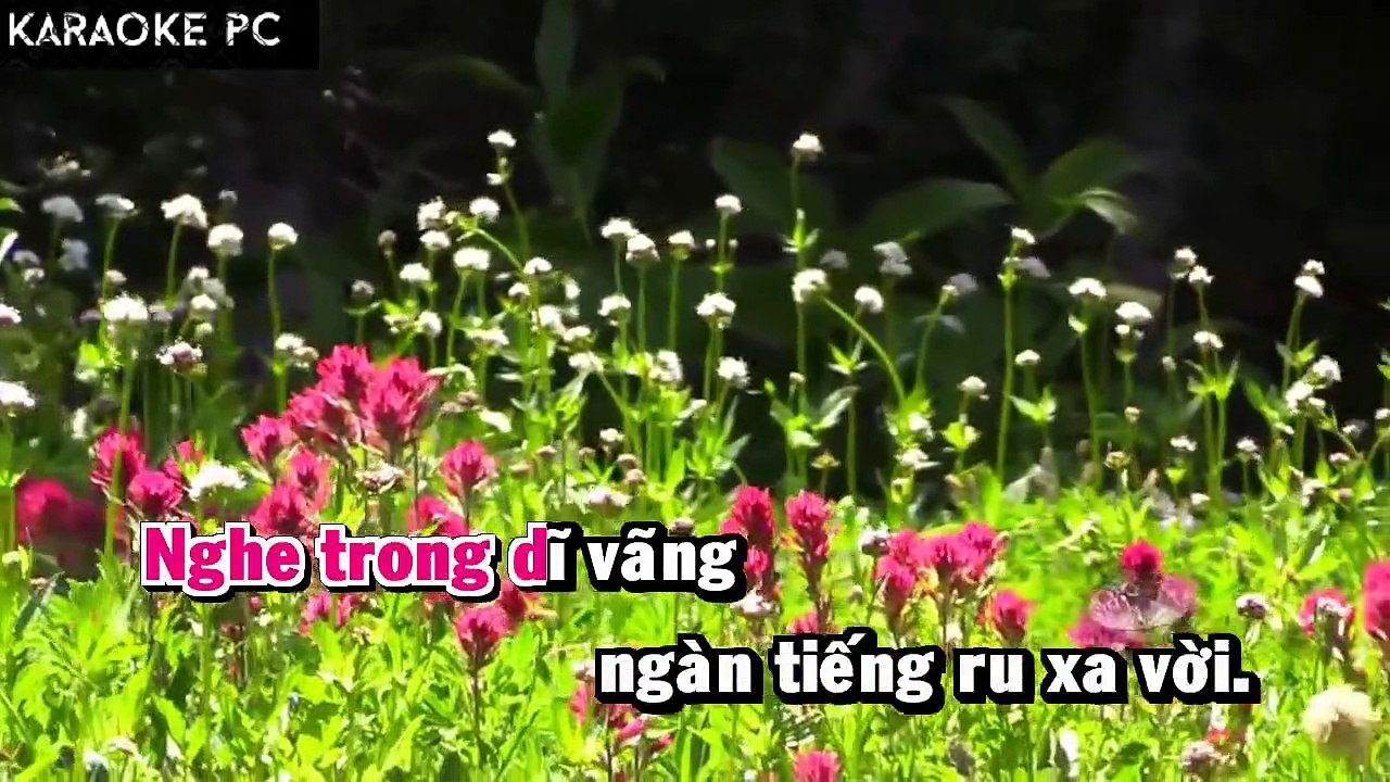 Karaoke Tiếng Sét Nơi Vườn Hoang - Phương Thanh