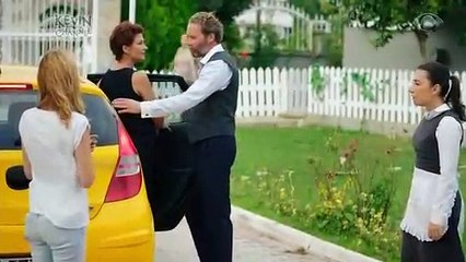 Resumo dos Capítulos de 'Minha Vida' e 'As Aventuras de Poliana' de dezembro de 2018