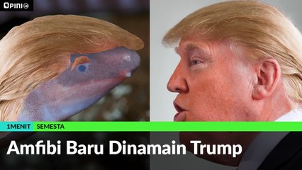 #1MENIT | Amfibi Baru Dinamain Trump