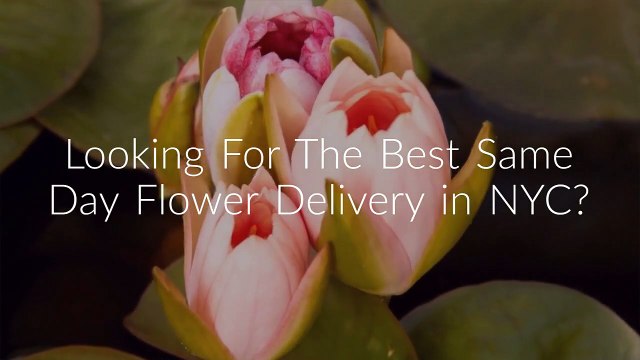 Call (646) 762-1221 Same Day Flower Delivery NYC - Send Flowers
