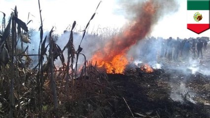 Helicopter crash kills Mexican governor and senator husband