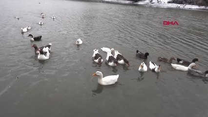 İzmir Karagöl'de Kış Güzelliği