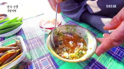 한국기행 - Korea travel_국밥기행 2부 남한강 마도로스 오여사_#002