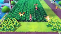 Pokémon let's Go Tutoriel – Attraper, entraîner et combattre. La base !