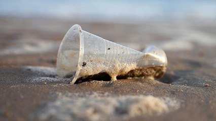 Успехи в борьбе с загрязнением Мирового океана в 2018