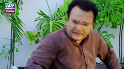 Woh Mera Dil Tha Episode 23 - on ARY Zindagi in High Quality 26th December 2018