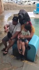 Un phoque pose pour des photos de touristes... adorable