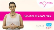 9 Months | Season 3 | Benefits of cow's milk