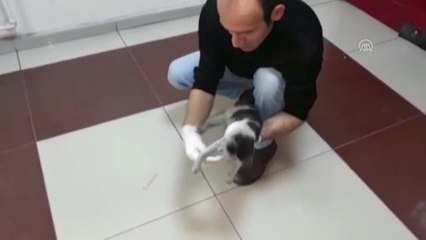 Minik Yumak'a Hastane Personelinden Şefkat Eli