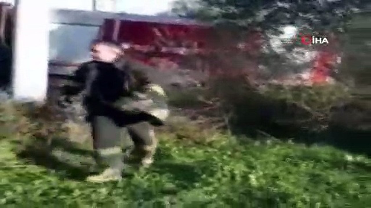 Bodrum'da Tilki kurtarma operasyonu