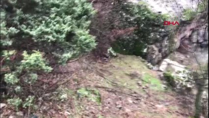 Diyarbakır Gri Kategoride Aranan Teröristin Cesedi Bulundu