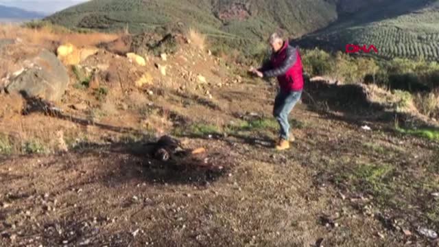 Bursa İznik'te Bir Köpek Otomobil Lastiği ile Birlikte Yakılmış Halde Bulundu
