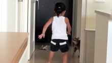 幼女を追いかけまわす猫