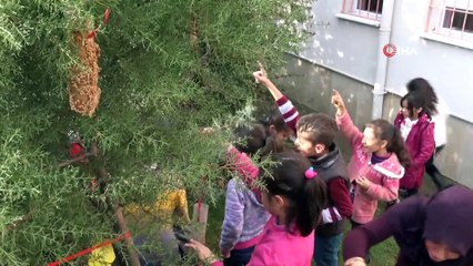 Öğrenciler, kuşlar için ağaçlara yem astı