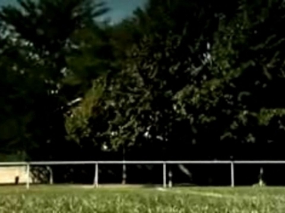 Lapins crétins: Haka