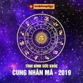 FB Tình hình sức khoẻ của cung Nhân Mã khi bước sang năm 2019