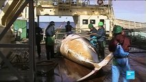 Le Japon va reprendre  la pêche à la baleine