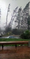 Tornado Hits Outside Family's Home
