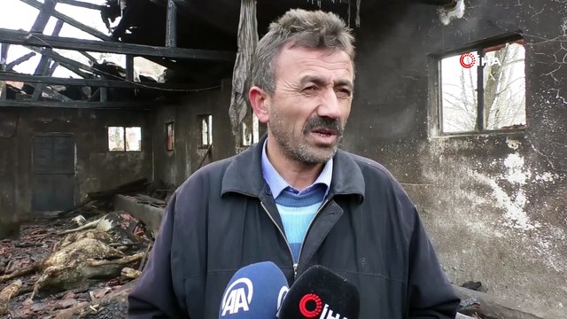 Ahır yangınında 12 büyükbaş hayvan telef oldu